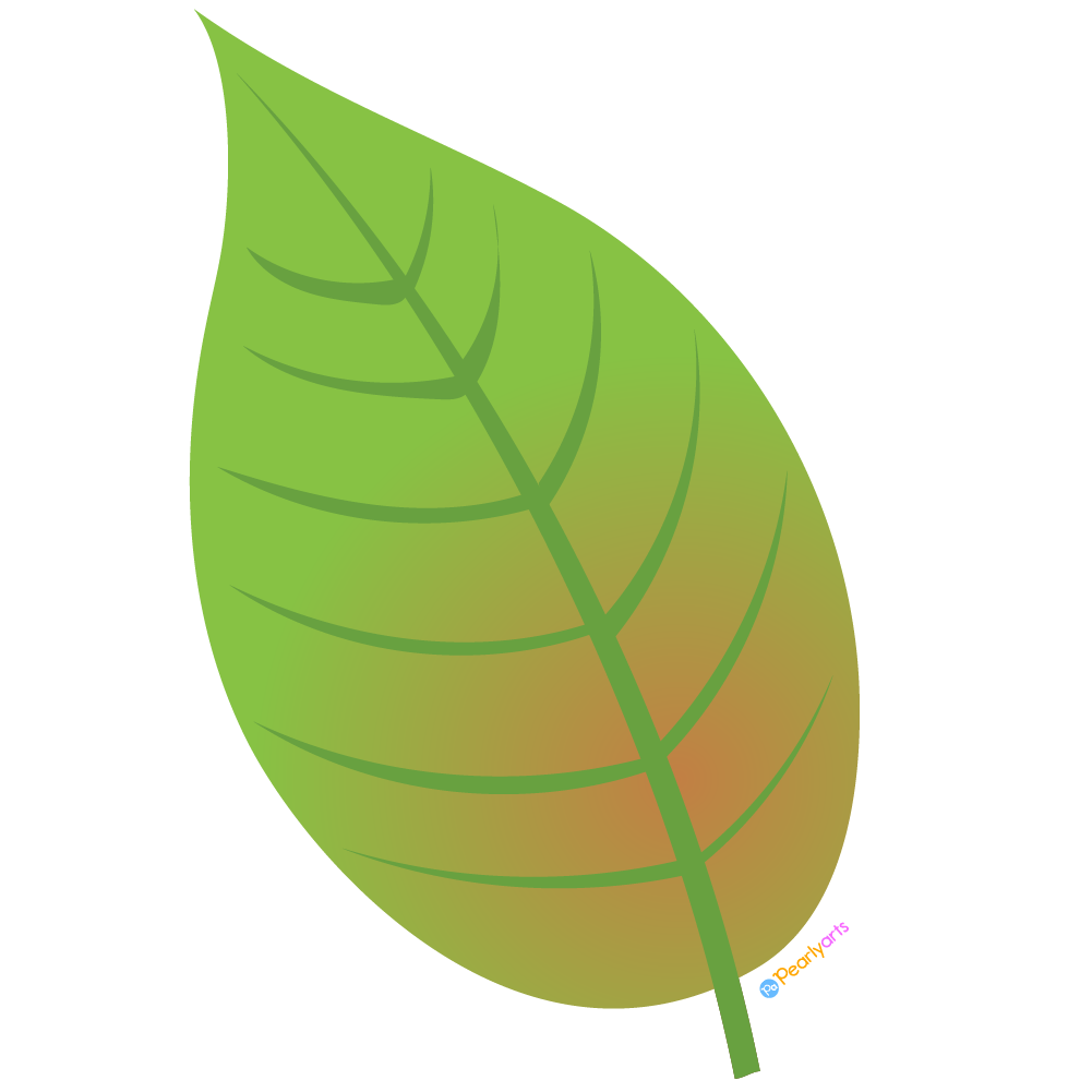 Green Leaf Clipart (Free Download)| Pearly Arts