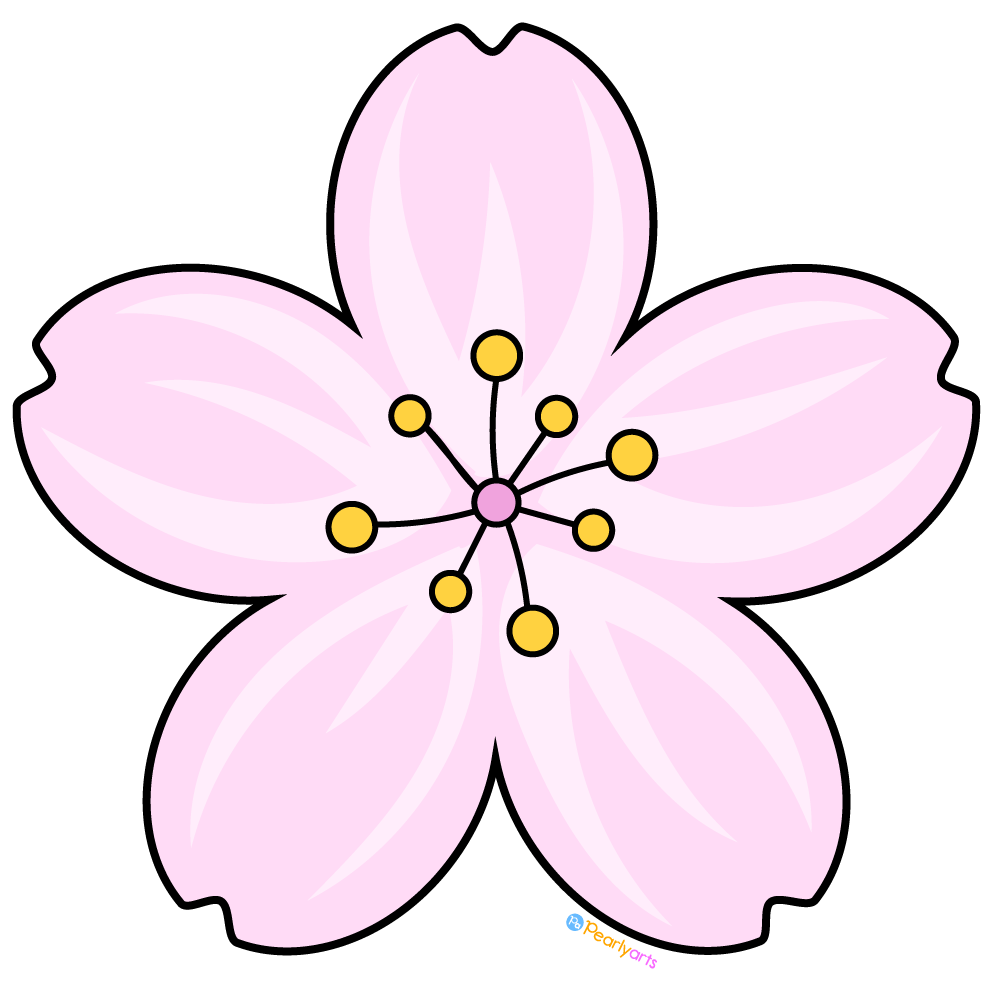 Cherry Blossom Flower Clipart with outline | Pearly Arts