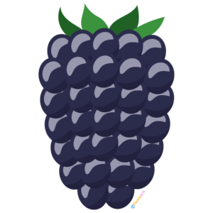 Free Blackberry Clipart WM | Pearly Arts | Royalty-free, 1000 by 1000, PNG, transparent background