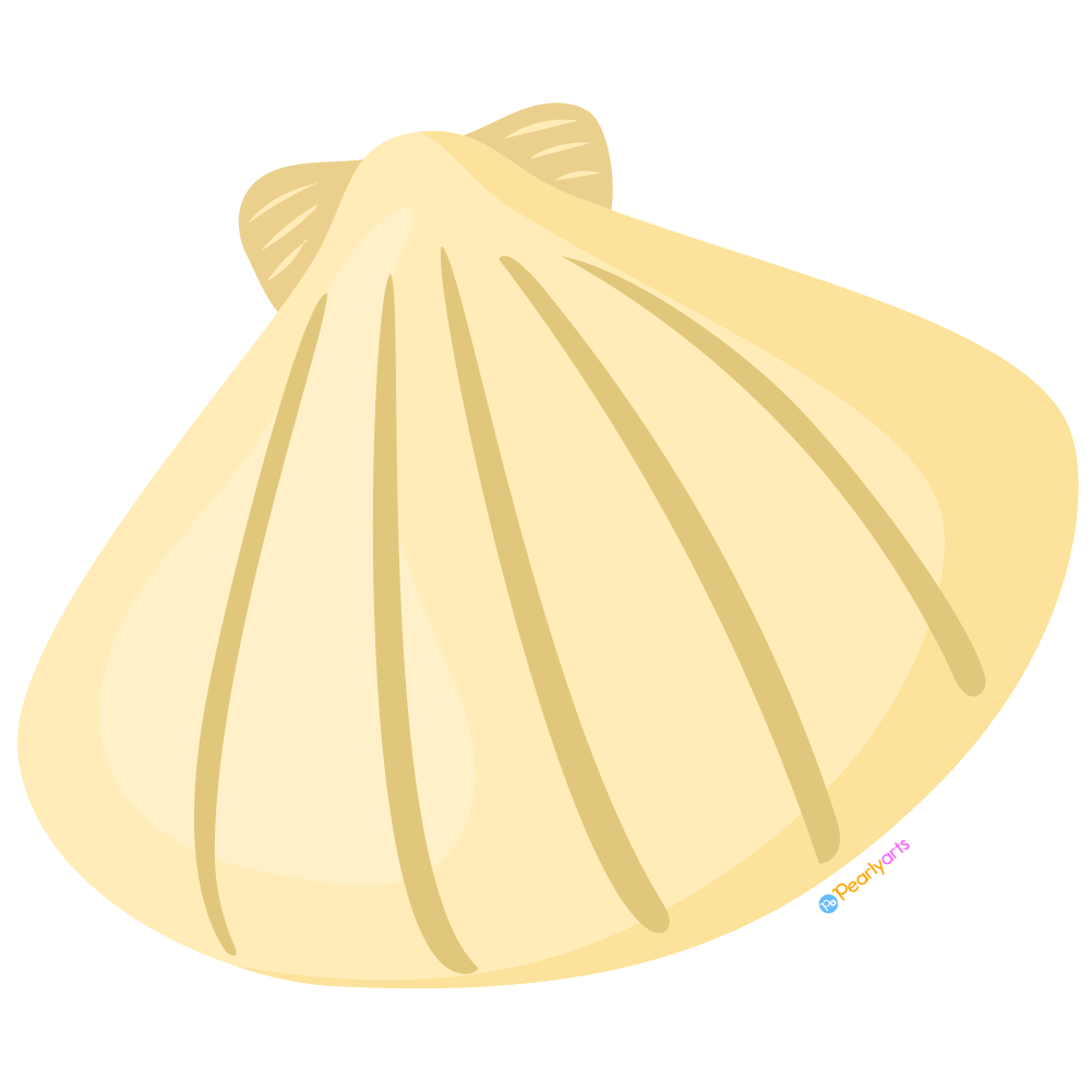 FREE Seashell Clipart 2 WM | Pearly Arts | Royalty-free, 1000 by 1000, PNG, transparent background