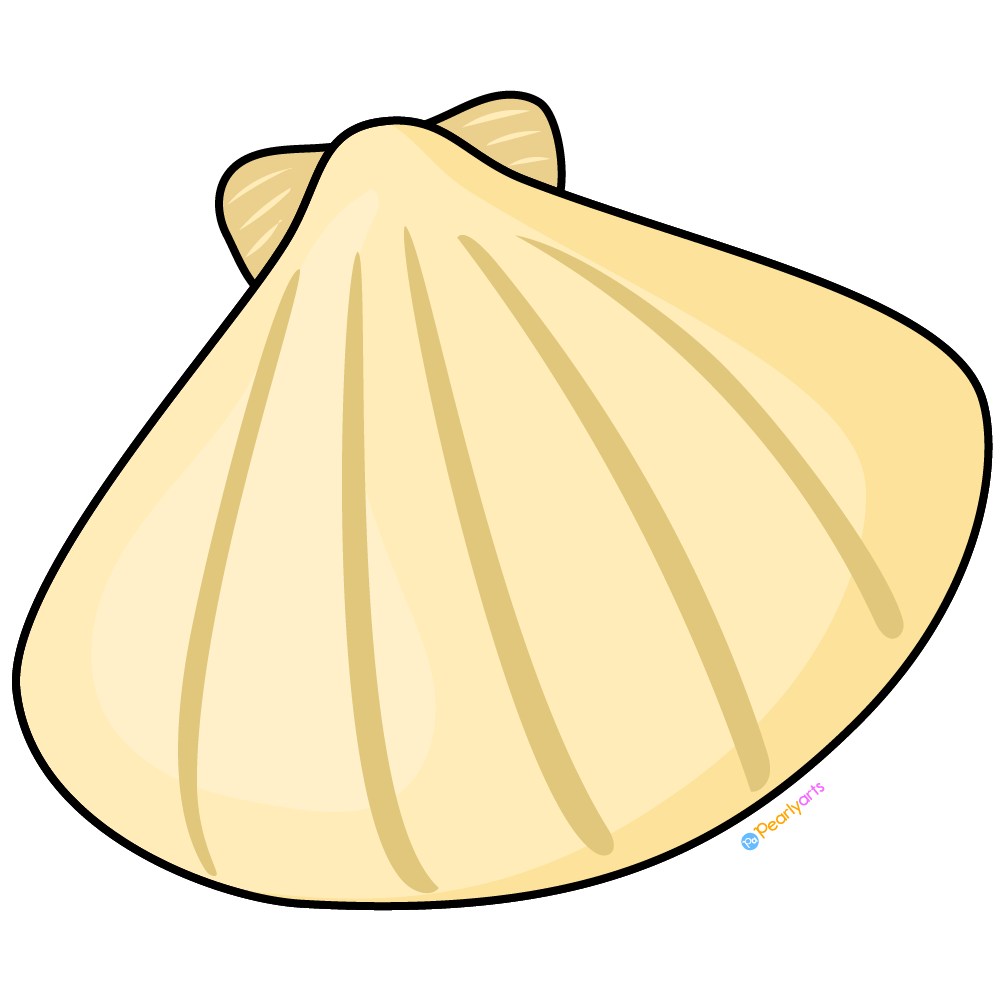 FREE Seashell Clipart 2 with outline WM | Pearly Arts | Royalty-free, 1000 by 1000, PNG, transparent background