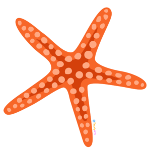 FREE Starfish Clipart WM | Pearly Arts | Royalty-free, 1000 by 1000, PNG, transparent background