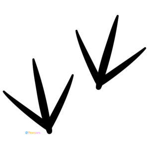 FREE Bird Footprints Clipart | Royalty-free, 1000 by 1000, PNG, transparent background