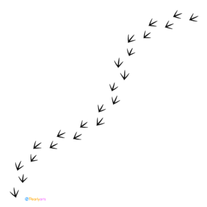 FREE Bird Track Clipart WM | Pearly Arts | Royalty-free, 1000 by 1000, PNG, transparent background