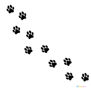 FREE Dog Paw Prints Clipart Black WM | Pearly Arts | Royalty-free, 1000 by 1000, PNG, transparent background