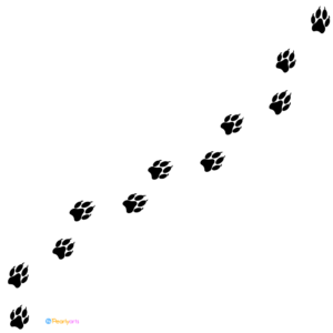 Wolf Paw Prints Clipart Black WM | Pearly Arts | Royalty-free, 1000 by 1000, PNG, transparent background
