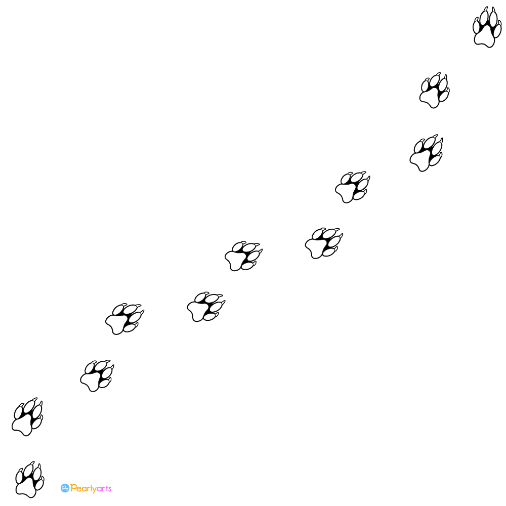 Wolf Paw Prints Clipart White WM | Pearly Arts | Royalty-free, 1000 by 1000, PNG, transparent background