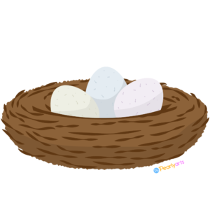Bird Nest Clipart WM | Pearly Arts