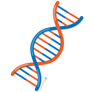 FREE DNA Clipart WM | Pearly Arts