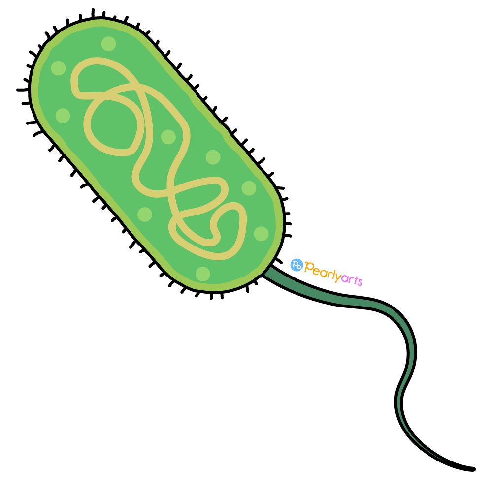 FREE Green Bacteria with outline WM | Pearly Arts
