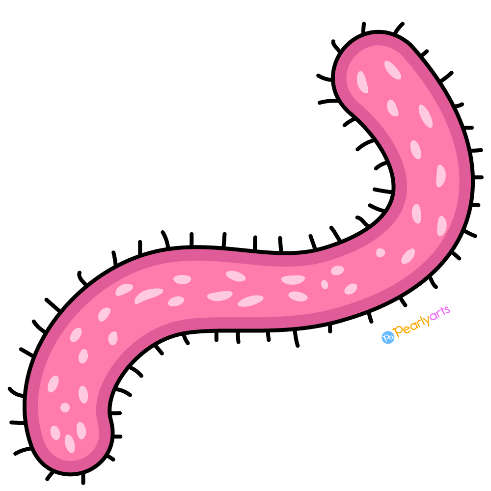 FREE Pink Bacteria Clipart with outline WM | Pearly Arts