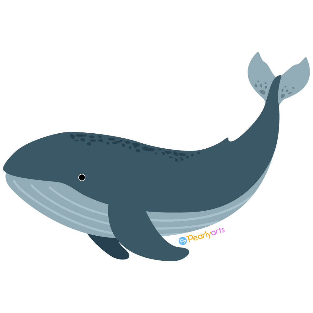 FREE Whale Clipart WM | Pearly Arts