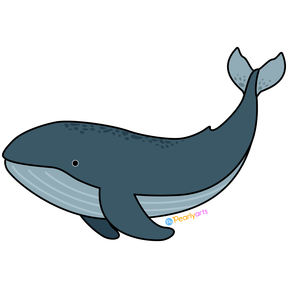 FREE Whale Clipart with outline WM | Pearly Arts