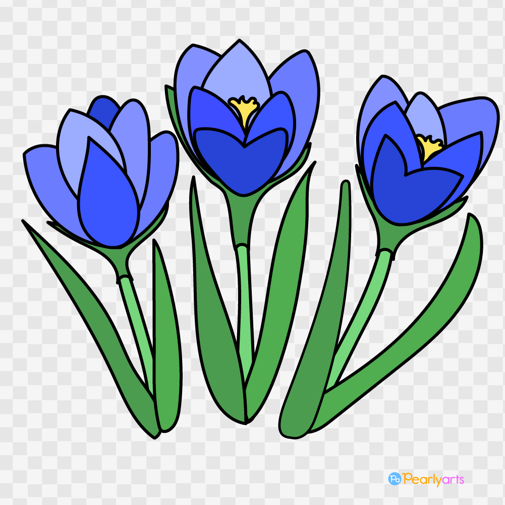 FREE Blue Crocus Clipart with outline WM | Pearly Arts