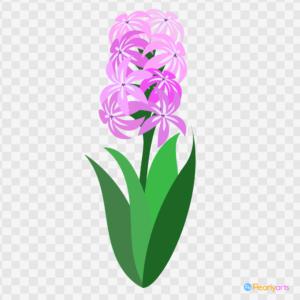 FREE Pink hyacinth clipart WM | Pearly Arts
