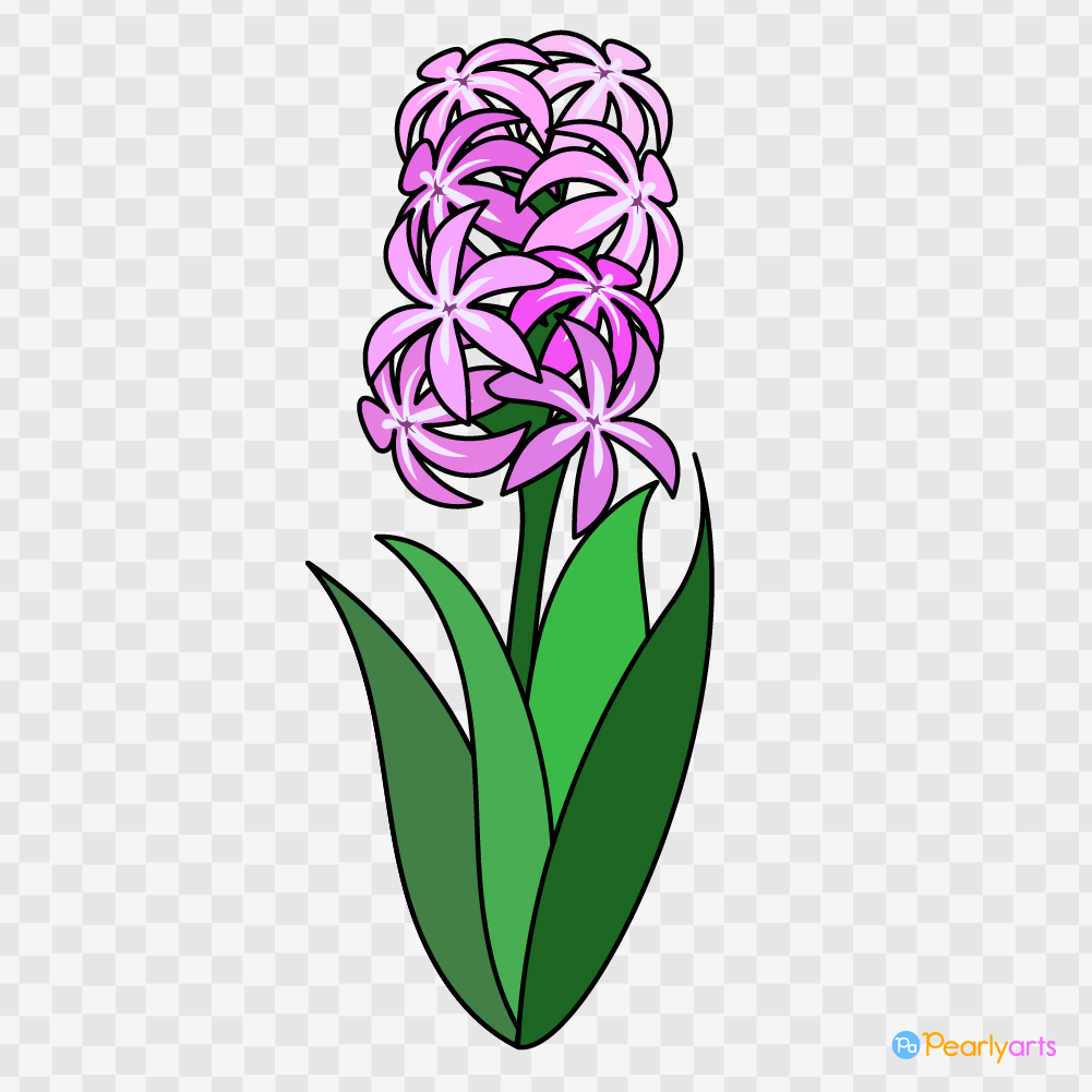 FREE Pink hyacinth clipart with outline WM | Pearly Arts