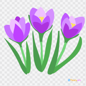FREE Purple Crocus Clipart WM | Pearly Arts