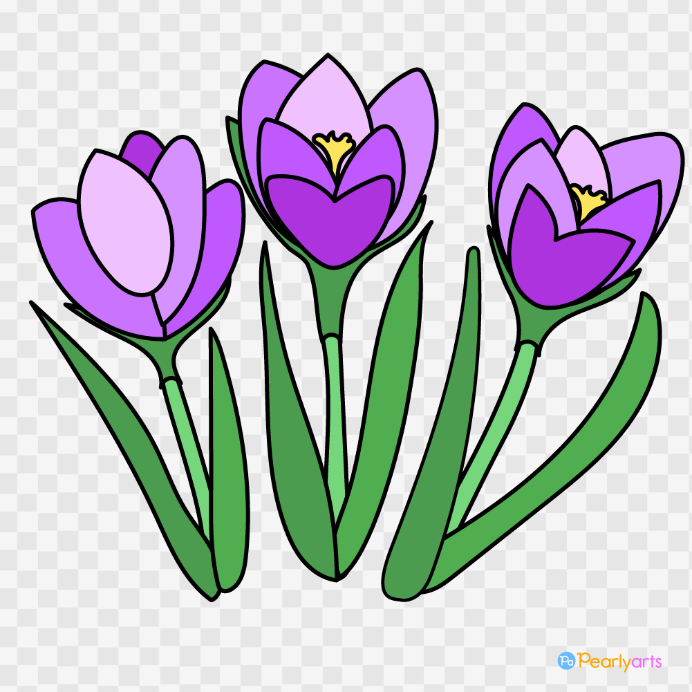FREE Purple Crocus Clipart with outline WM | Pearly Arts