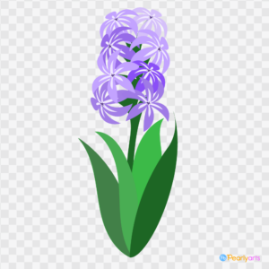 FREE Purple Hyacinth Clipart WM | Pearly Arts