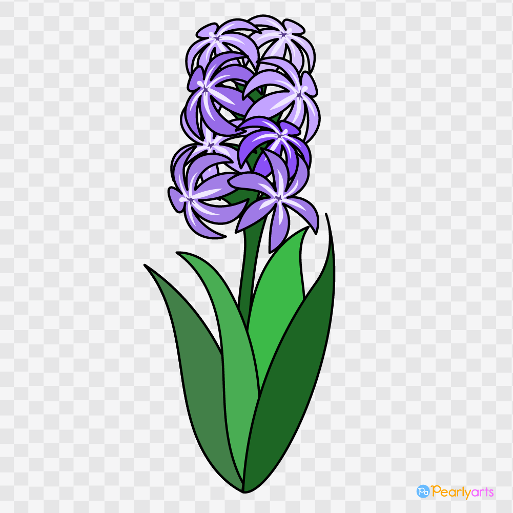 FREE Purple Hyacinth Clipart with outline WM | Pearly Arts