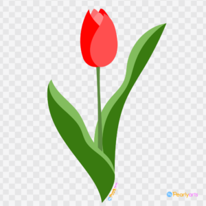 FREE Red Tulip Clipart WM | Pearly Arts