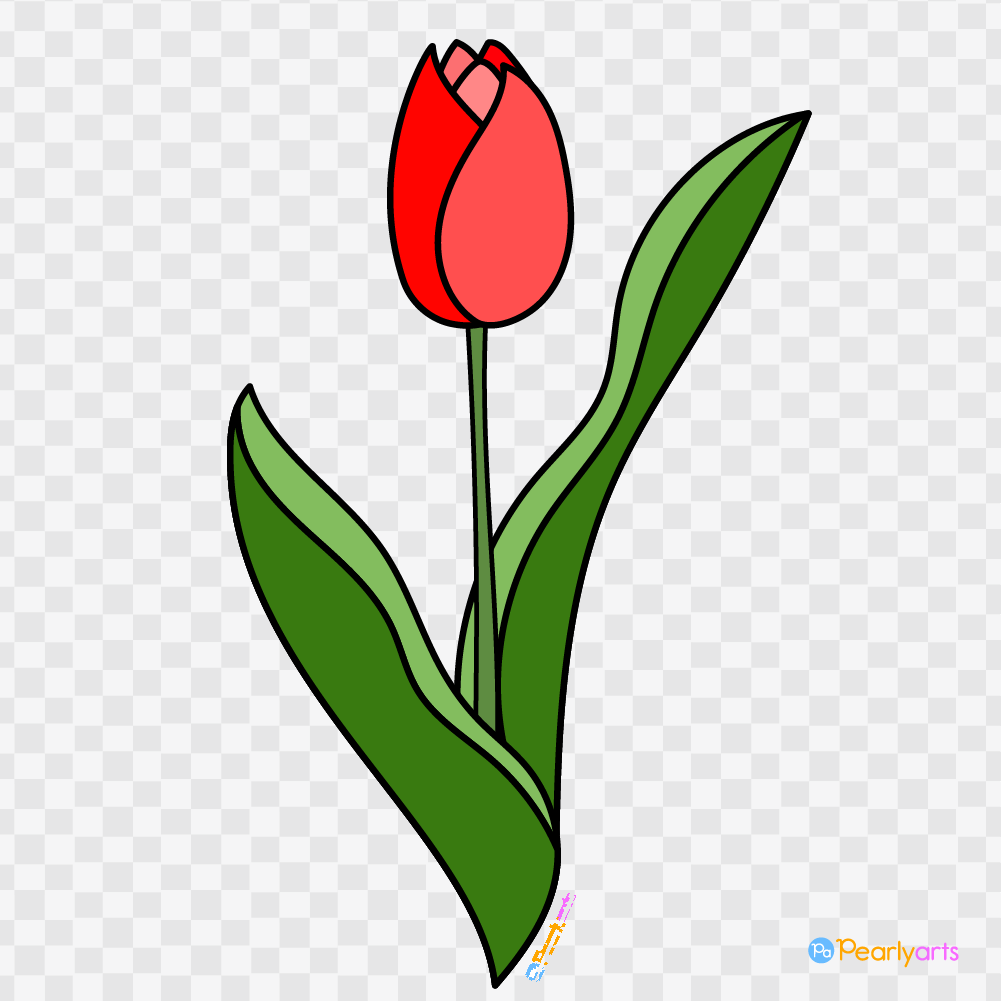 FREE Red Tulip Clipart with outline WM | Pearly Arts