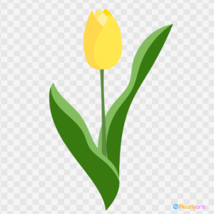 FREE Yellow Tulip Clipart WM | Pearly Arts