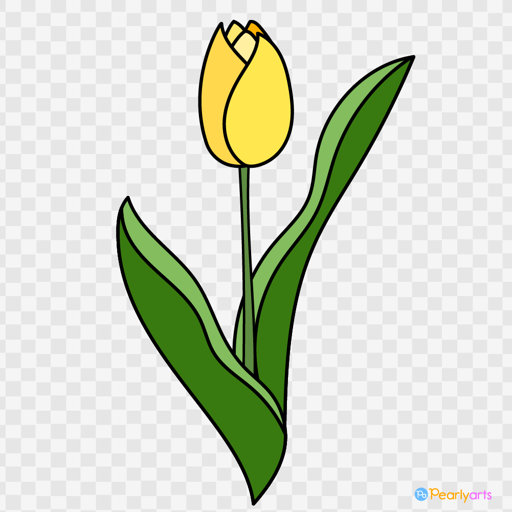FREE Yellow Tulip Clipart with outline WM | Pearly Arts