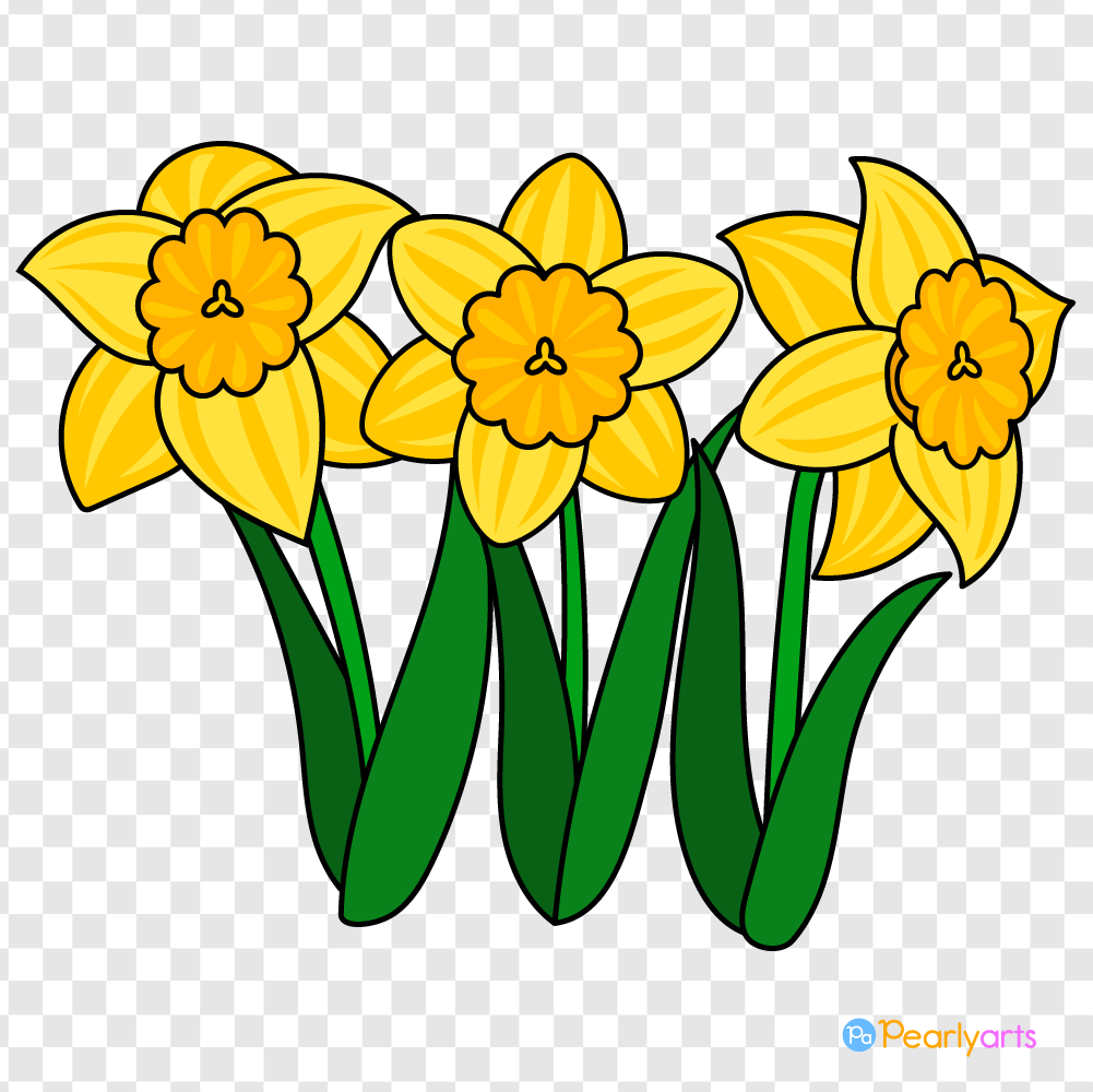 FREE Daffodils Clipart with outline WM | Pearly Arts