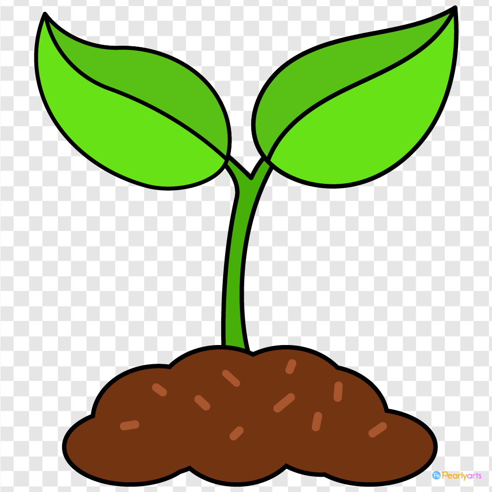 FREE Seedling Clipart with outline WM | Pearly Arts