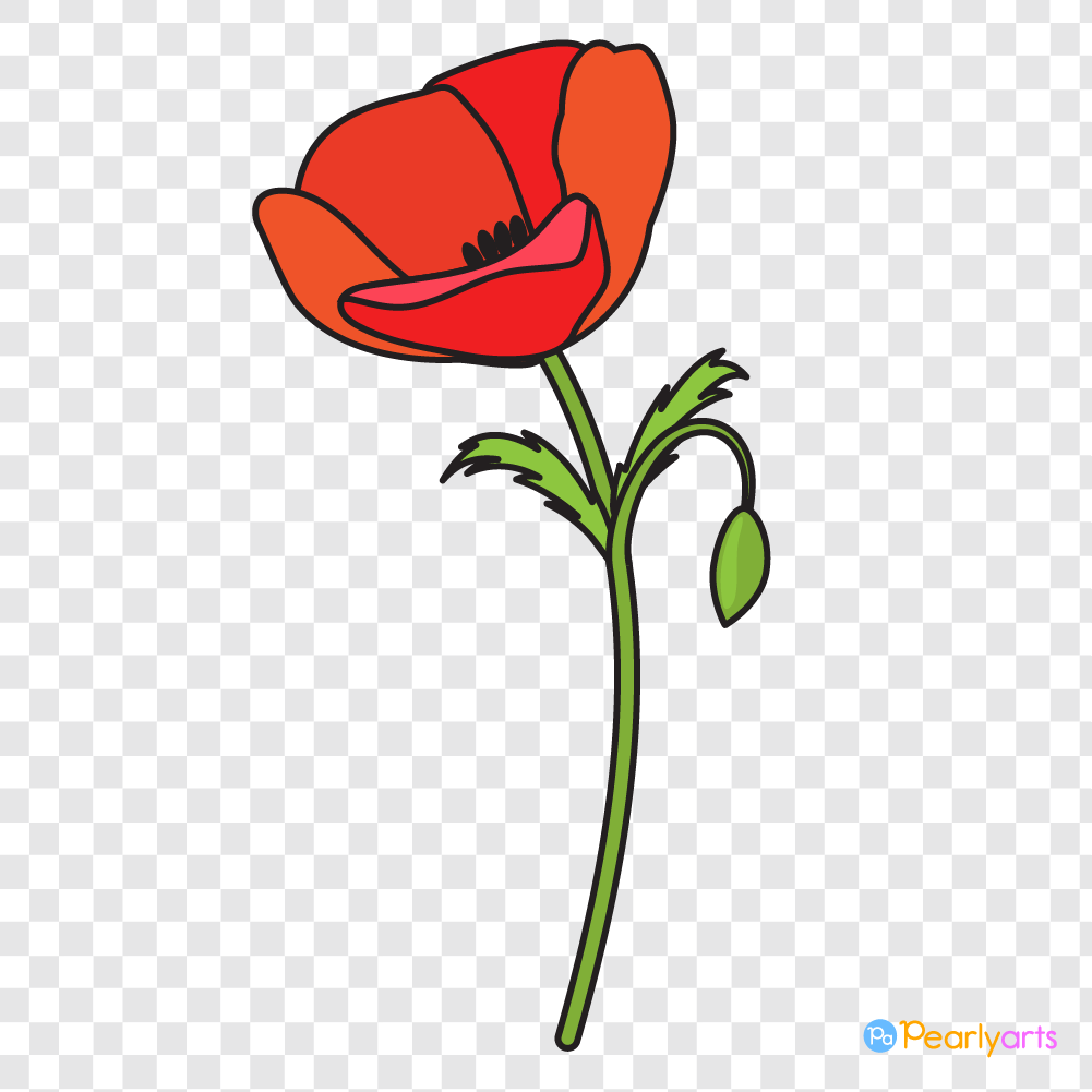 FREE Single Red Poppy Flower Clipart with outline WM | Pearly Arts
