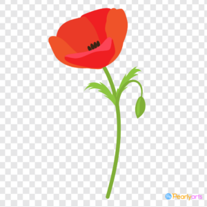 FREE Single Red Poppy Flower ClipartWM | Pearly Arts