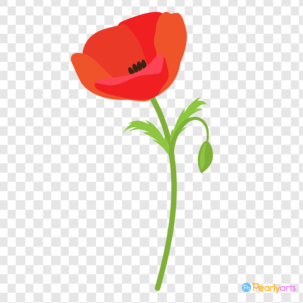 FREE Single Red Poppy Flower ClipartWM | Pearly Arts