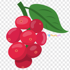 FREE Cranberry Clipart WM | Pearly Arts