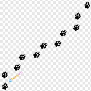 FREE Wolf Paw Prints Clipart Black Wm | Pearly Arts